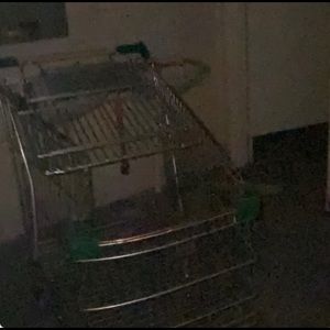 Meet your Posher, Heidi